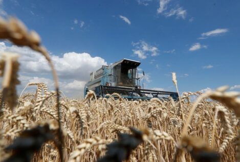 La invasión de Rusia amenaza con reducir en un 35% la producción anual de trigo de Ucrania