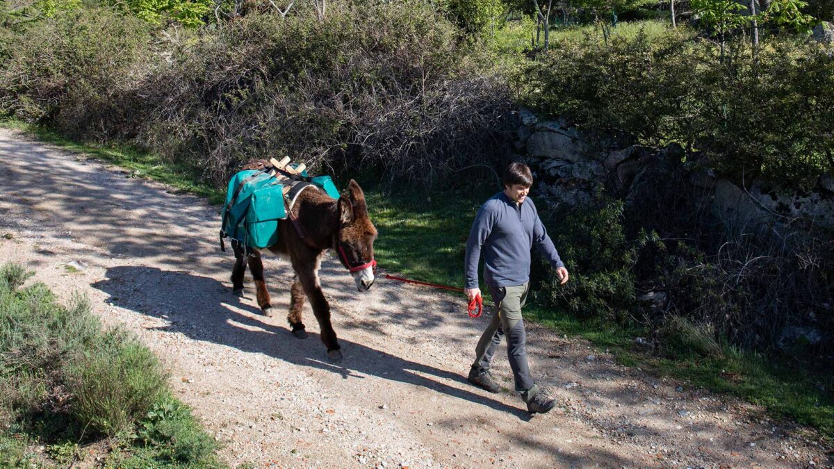 Asociación ‘Dejando Huella’: Salvaguardando el futuro del burro