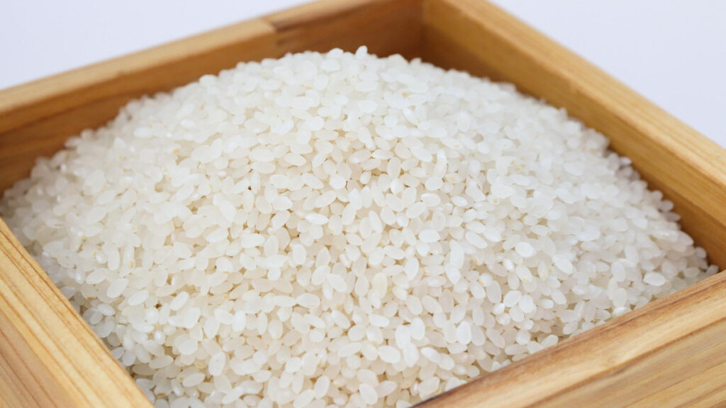 arroz blanco nutrientes fibra hidratos integral