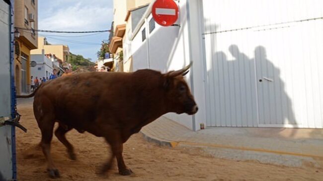Muere un hombre tras ser corneado por un toro durante el encierro en La Seca (Valladolid)