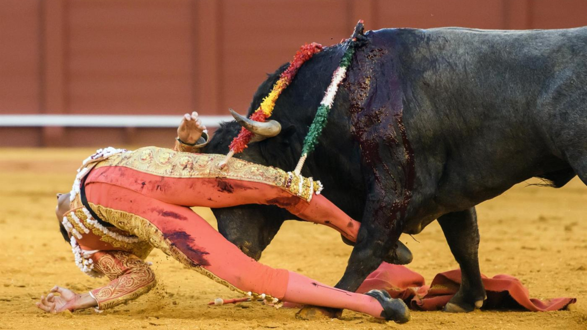 El torero Miguel Ángel Perera recibe el alta tras ser corneado en la Feria de Abril de Sevilla