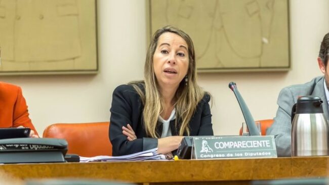 Elena Collado declarará ante el juez por el 'caso mascarillas' a pesar de la negativa del PSOE y Más Madrid