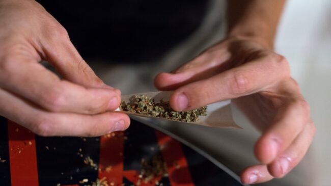 El PSOE se compromete a regular el cannabis medicinal: «Es inexorable»