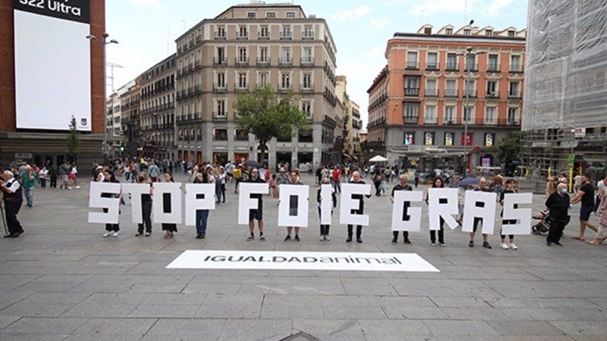 Animalistas se manifiestan contra el foie gras por la alimentación forzada de patos y ocas