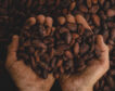 Cacao y corazón (o cómo este placer puede ayudar a nuestra salud cardiovascular)