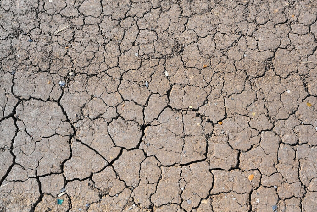 Arabia Saudí, África y Latinoamérica apuestan por la lucha contra la desertificación