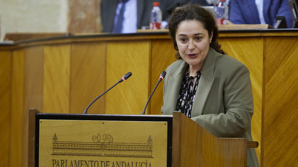 Podemos dice que entregó «en tiempo» los documentos para la candidatura en Andalucía