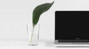 Nueva tendencia para 'salvar' el planeta: la «sobriedad digital»
