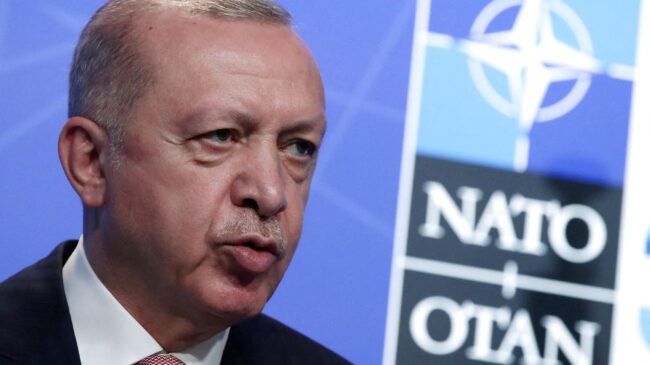 Erdogan rechaza el ingreso de Suecia y Finlandia en la OTAN por no poder "confiar" en ellos