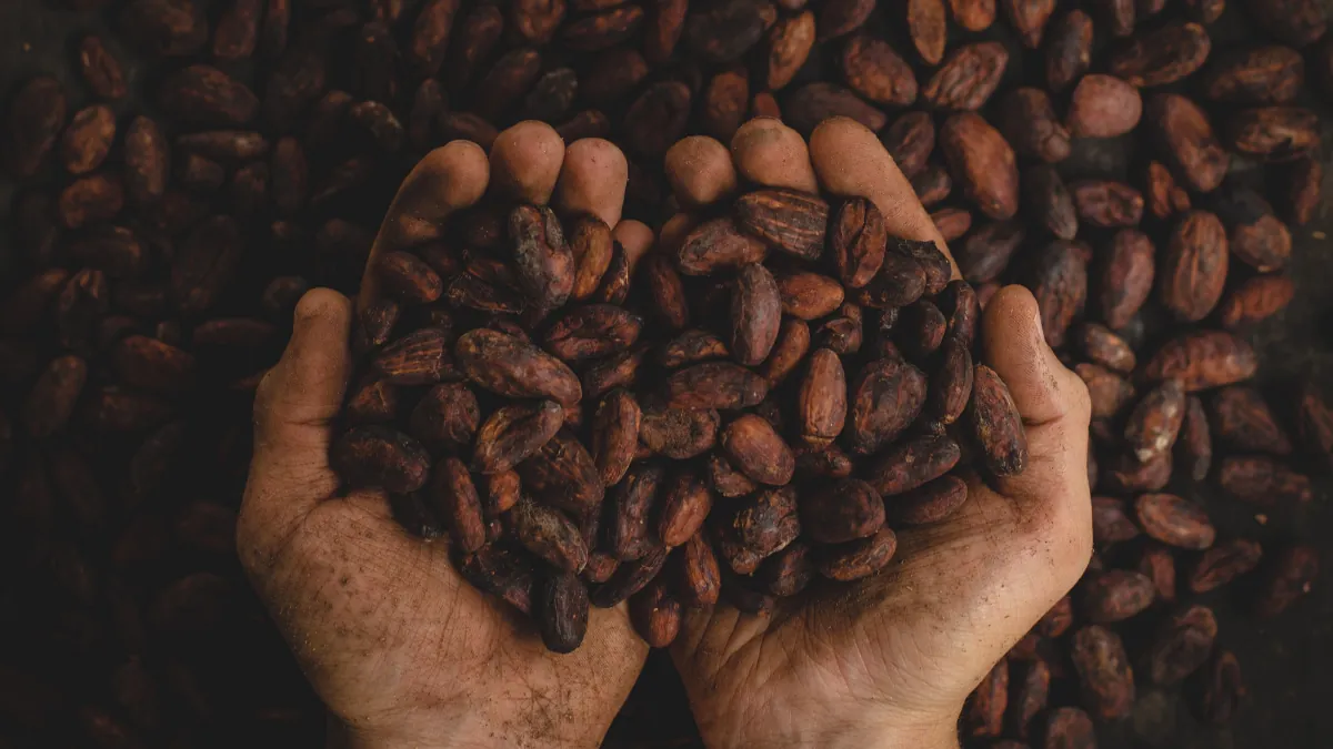 Cacao y corazón (o cómo este placer puede ayudar a nuestra salud cardiovascular)
