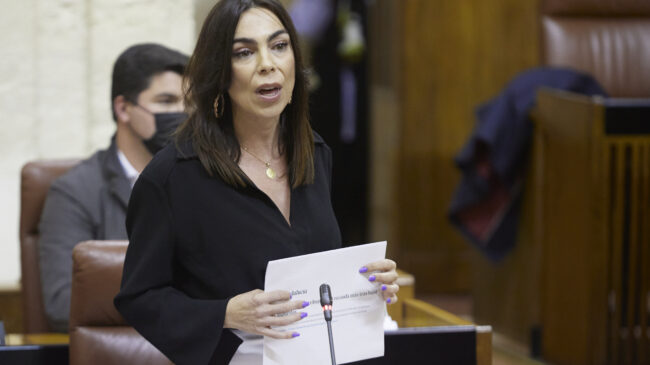 La candidata de Juan Marín pierde las primarias de Ciudadanos en Málaga