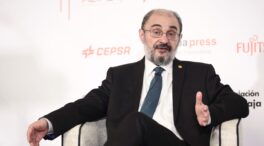 Aragón ve de «extrema gravedad» que el COE valore optar por dos candidaturas