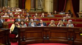 Un recurso de Vox, Ciudadanos y PP paraliza la aprobación de la ley del catalán