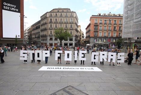 Animalistas se manifiestan contra el foie gras por la alimentación forzada de patos y ocas