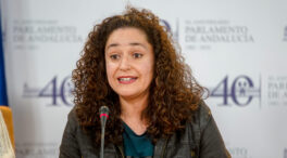 Podemos e IU concurrirán juntos a las andaluzas tras un acuerdo 'in extremis'