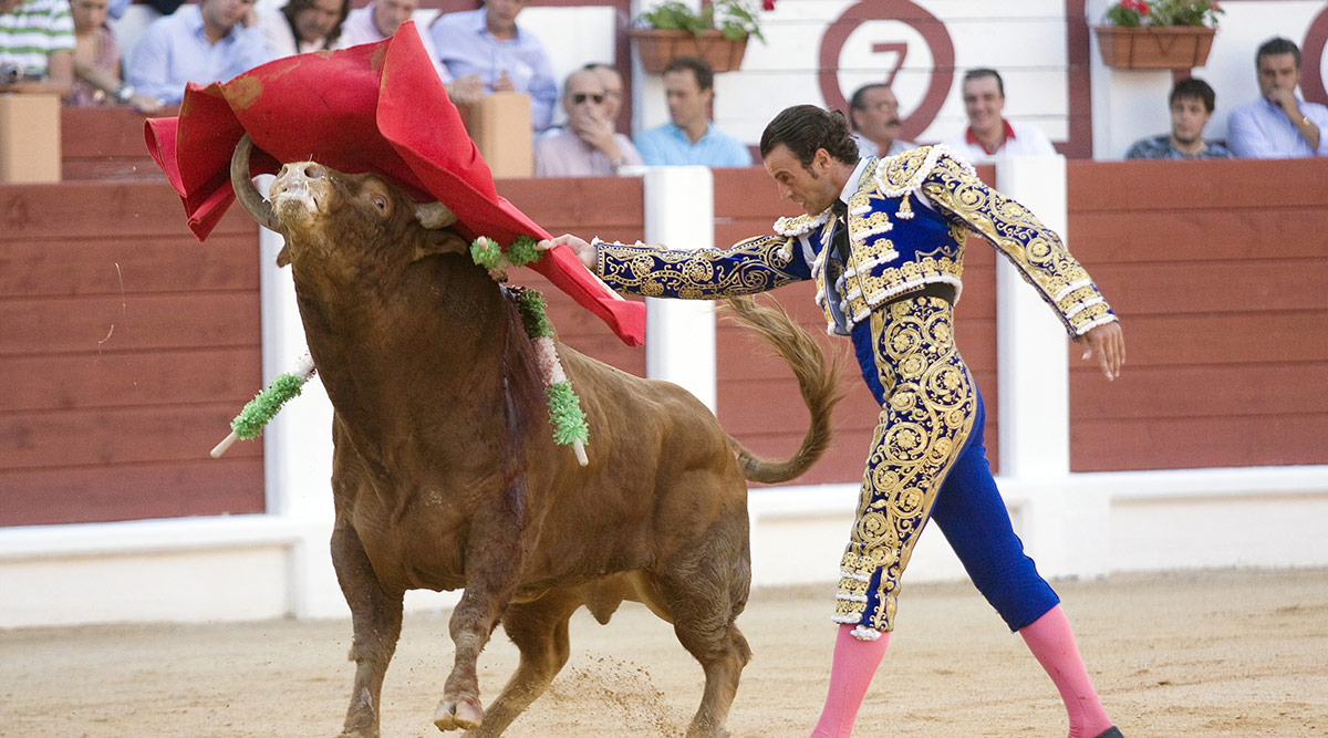 José Tomás agota en media hora las 15.000 entradas para su corrida en Alicante
