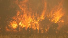 El incendio de Zamora, estabilizado pero con riesgo alto de extenderse