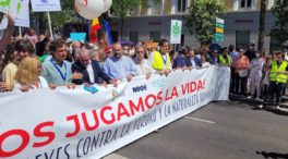 Miles de personas se manifiestan contra el aborto en las calles de Madrid