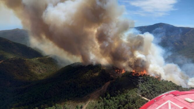 Declarado un incendio en Pujerra muy cerca de la zona que arrasaron las llamas el año pasado