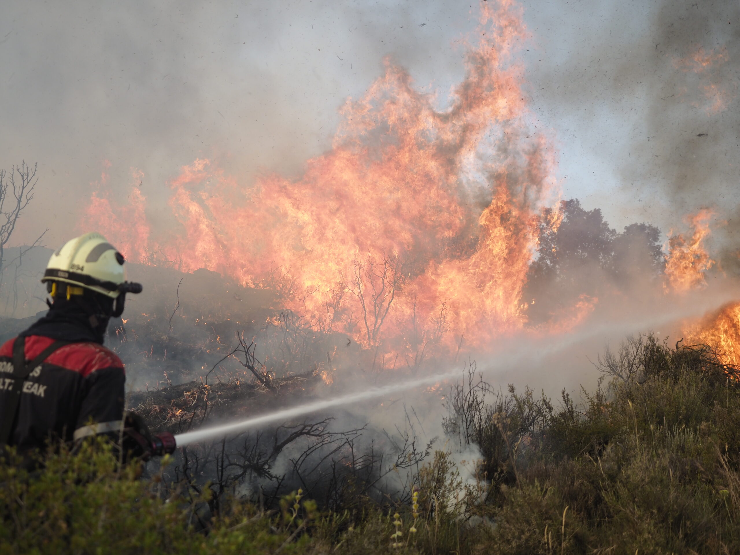 Varios incendios sacuden España, en imágenes