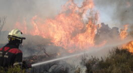 Varios incendios sacuden España, en imágenes