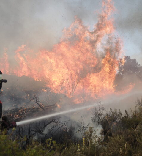 Varios incendios sacuden España, en imágenes