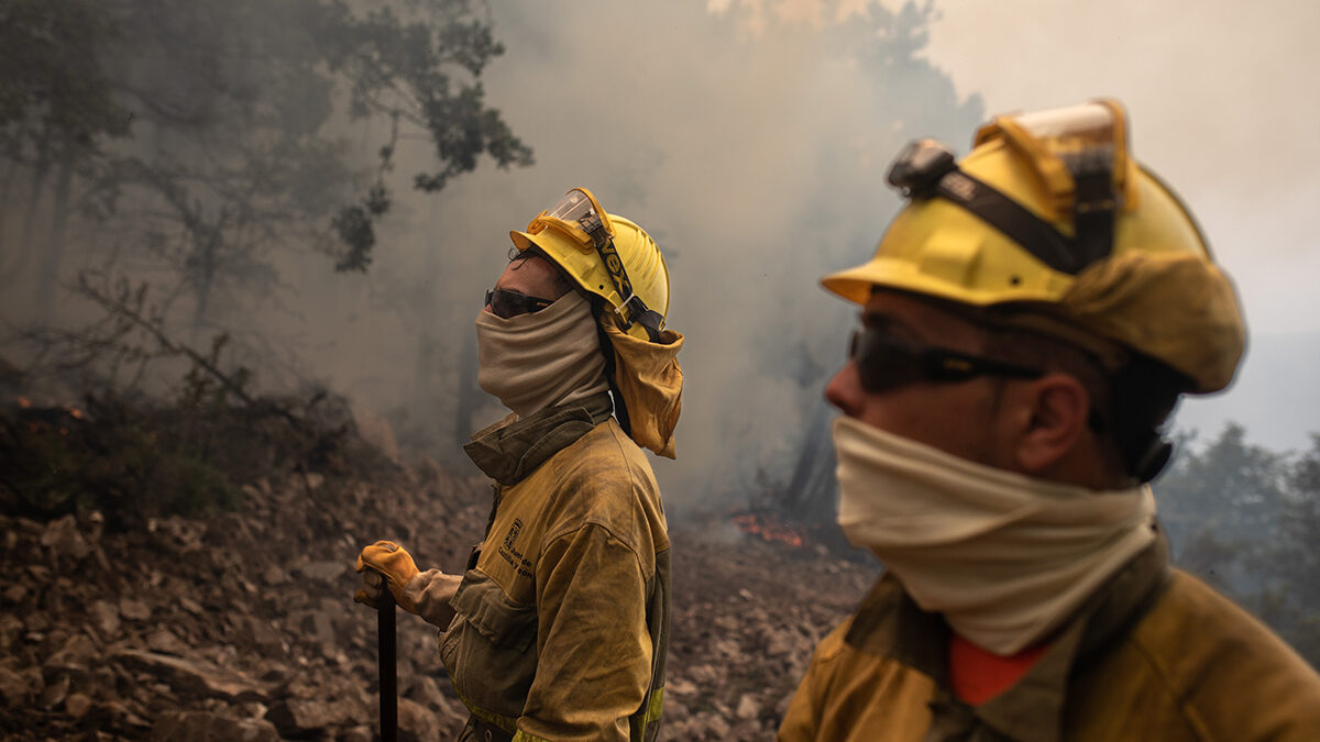 La Fiscalía investiga al jefe de Medio Ambiente de Castilla y León por el incendio de Zamora