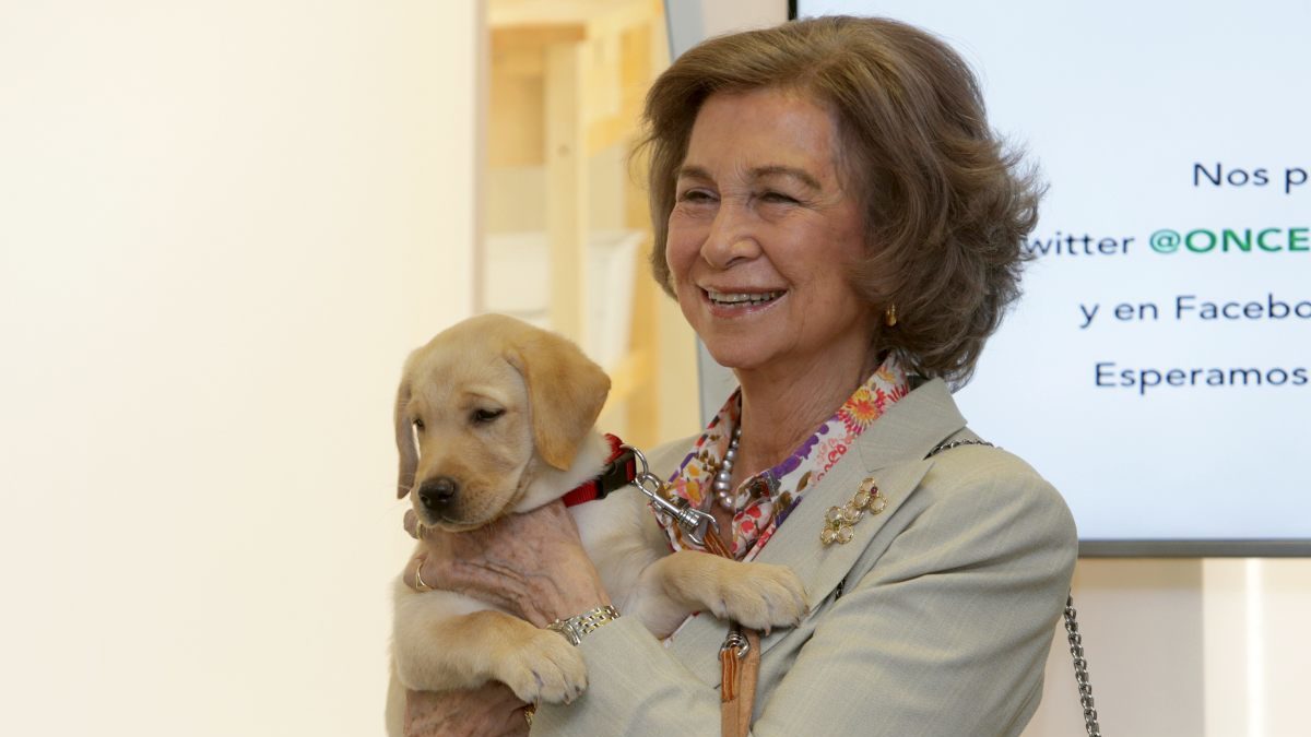 De la reina Sofía a Sonsoles Ónega o Luis Medina: ellos nunca abandonarían a sus perros