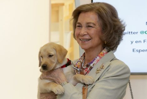 De la reina Sofía a Sonsoles Ónega o Luis Medina: ellos nunca abandonarían a sus perros