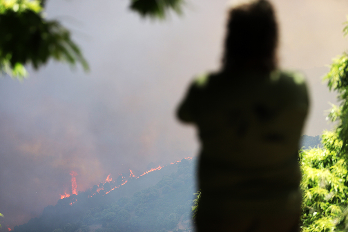 El incendio forestal de Málaga, en imágenes