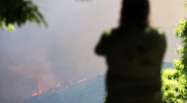 El incendio forestal de Málaga, en imágenes