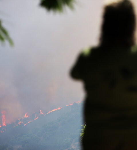 El incendio forestal de Málaga, en imágenes