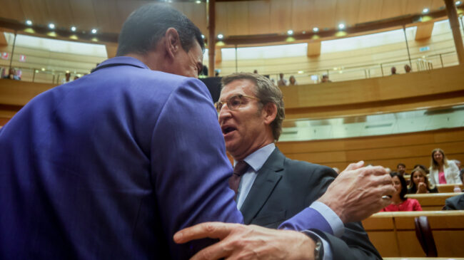Primer cara a cara entre Sánchez y Feijóo en el Senado, en imágenes