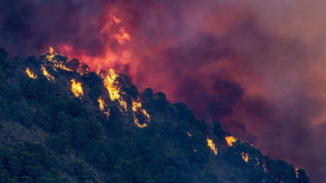 (VÍDEO) Incendio en Málaga: logran estabilizar el fuego tras más de 2.000 hectáreas afectadas