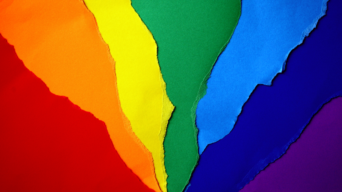 Gays, lesbianas ‘et alii’: resplandores y sombra