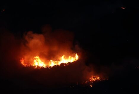 Los bomberos logran frenar el incendio en la sierra de Leyre (Navarra)
