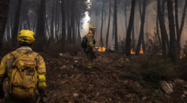 Castilla y León confía en 417 parados para la prevención de incendios