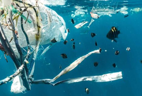 La solución no es recoger el plástico del mar, es que no llegue
