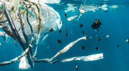La solución no es recoger el plástico del mar, es que no llegue