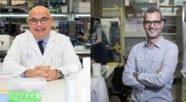 Josep Tabernero y Salvador Aznar-Benitah, Premios Lilly de Investigación Biomédica 2022