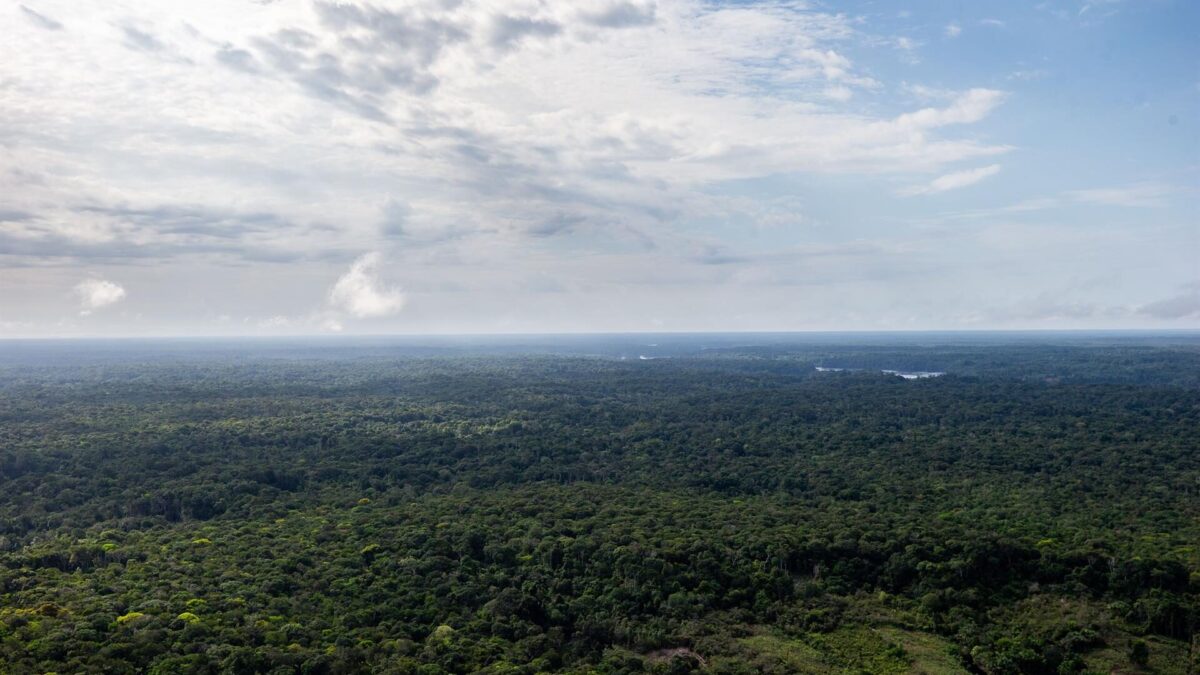 Un periodista inglés y un indigenista brasileño desaparecen en el Amazonas