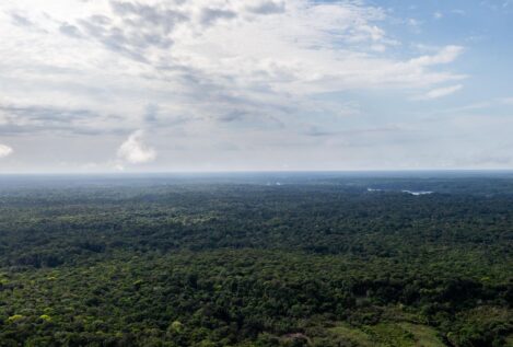 Un periodista inglés y un indigenista brasileño desaparecen en el Amazonas