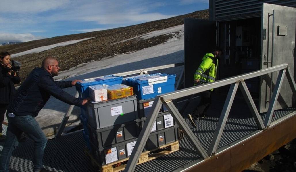 España deposita mil variedades de semillas en el ‘Arca de Noé’ vegetal del Ártico
