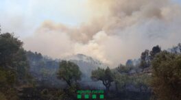Los incendios de Lérida y Tarragona provocan una situación de «extrema gravedad»
