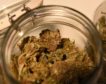 El Congreso acuerda ampliar el uso medicinal del cannabis a dolor oncológico