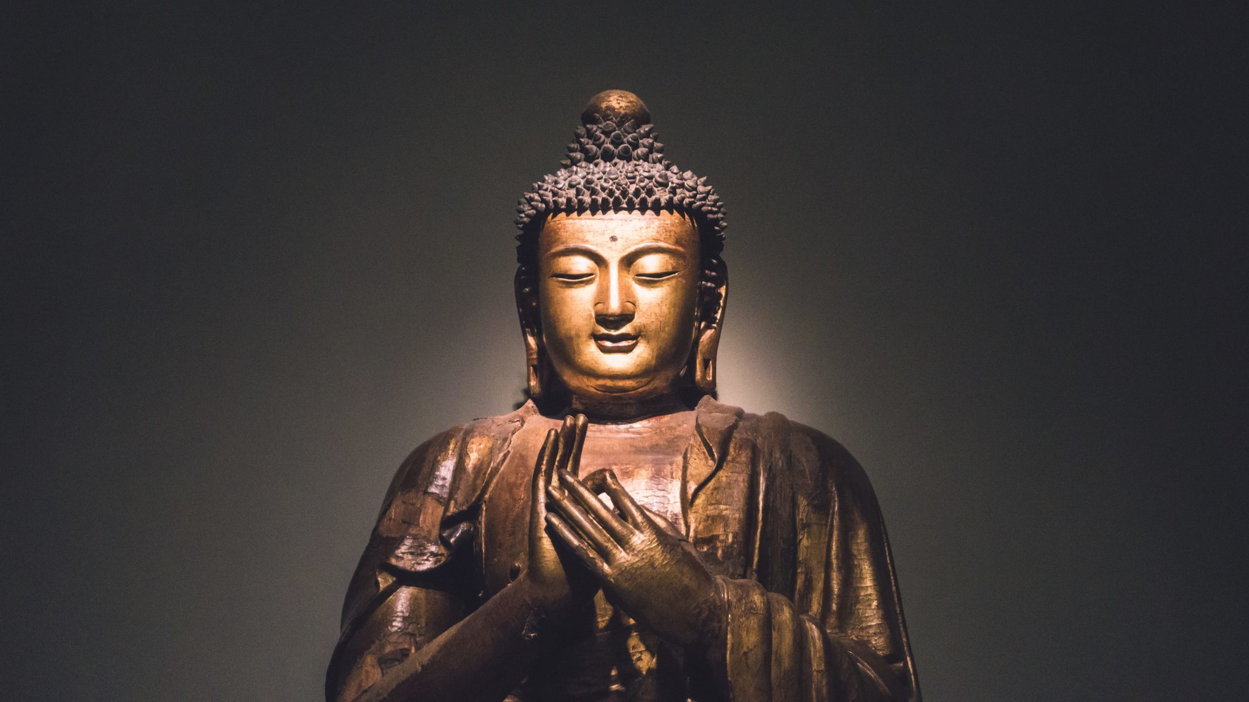 lealtad Helecho Salida La dieta budista: las 7 claves del antiguo arte de adelgazar