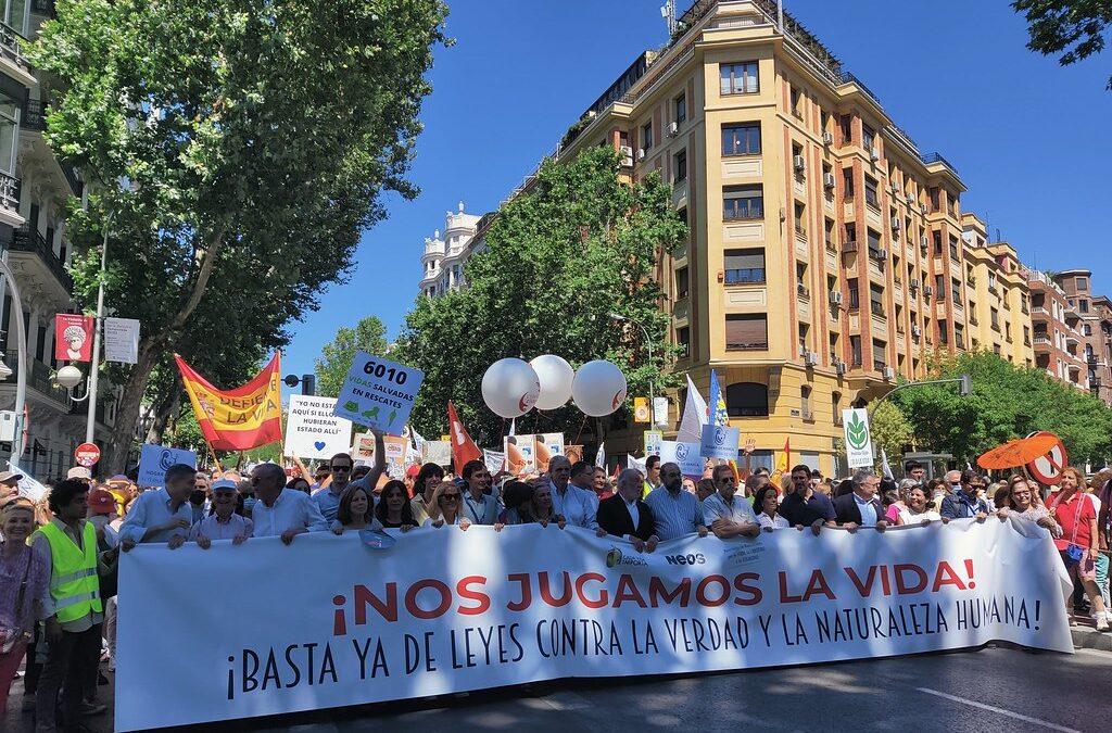 (VÍDEO) Multitudinaria manifestación provida en Madrid bajo el lema «Nos jugamos la vida»