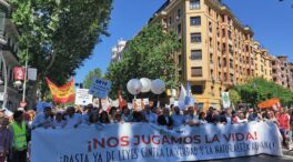 (VÍDEO) Multitudinaria manifestación provida en Madrid bajo el lema "Nos jugamos la vida"