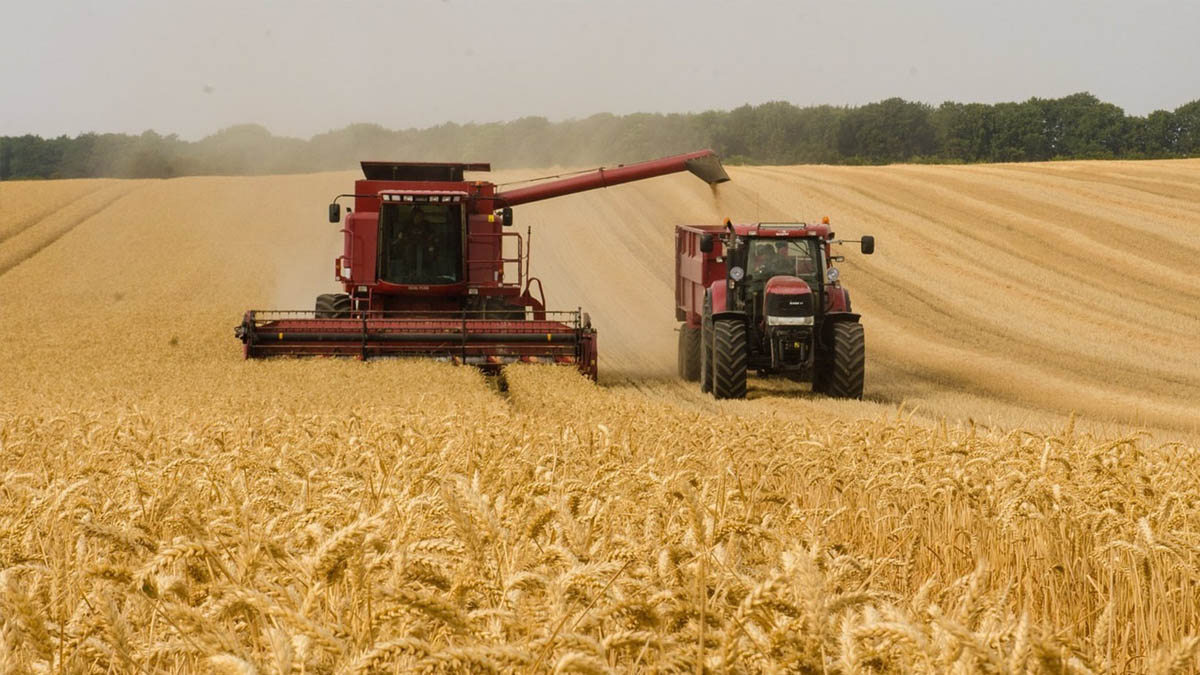 España, cuarto país con más irregularidades en el uso de fondos estructurales y agrícolas de la UE