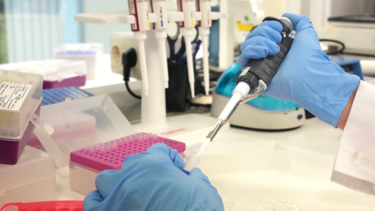 Una molécula cerebral podría frenar el deterioro por alzhéimer